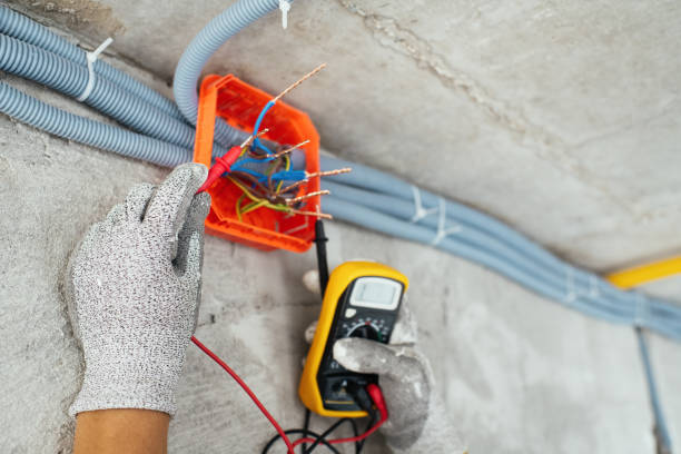Best Electrical Rewiring Services  in Punta Gorda, FL